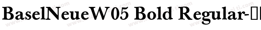 BaselNeueW05 Bold Regular字体转换